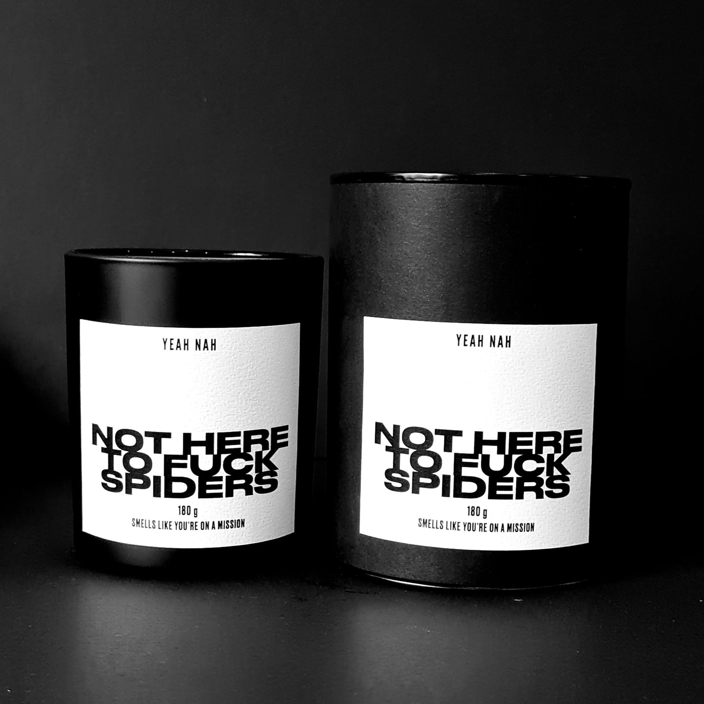 Not Here to F*ck Spiders. Smells Like You're On A Mission Candle